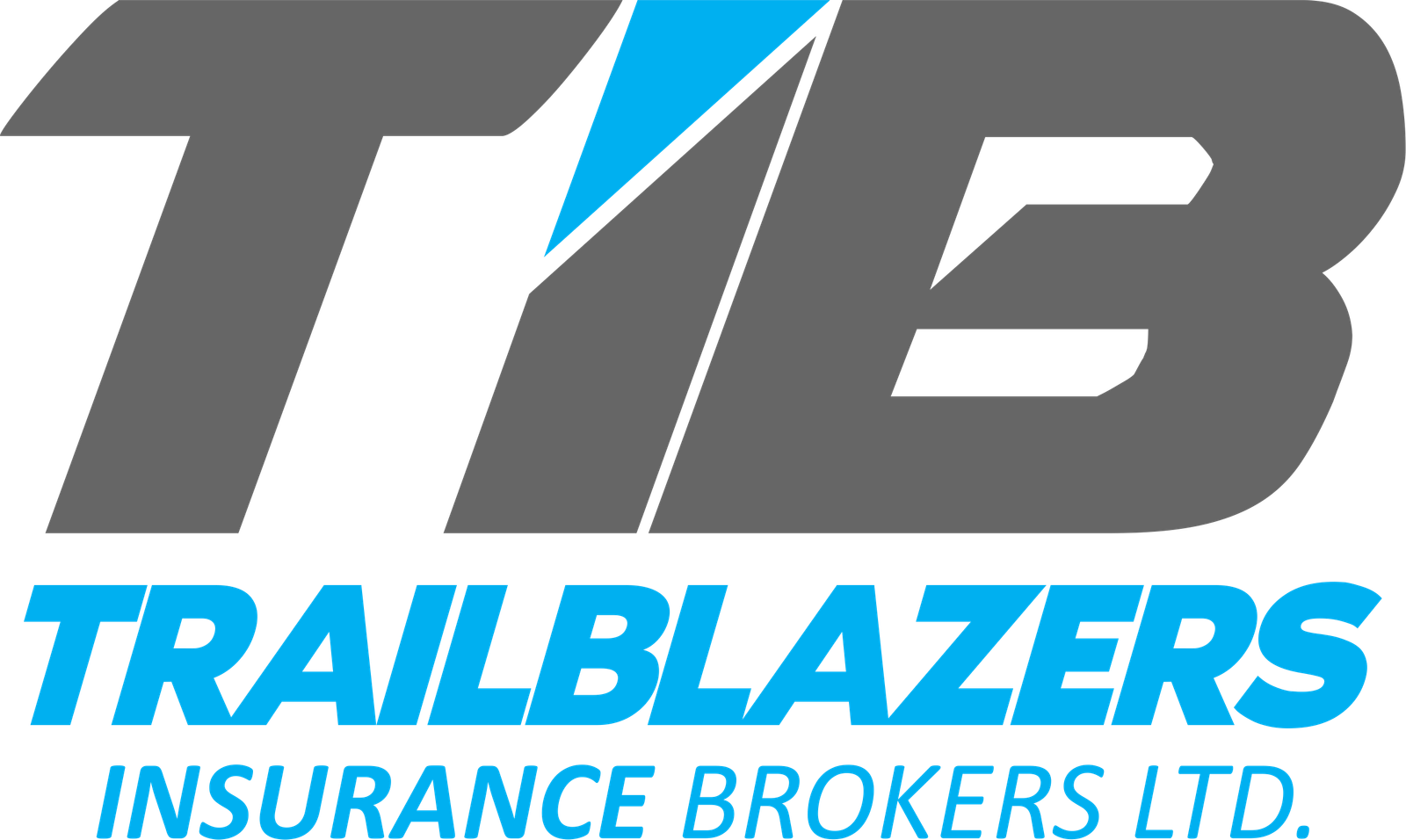 Trailblazers Logo