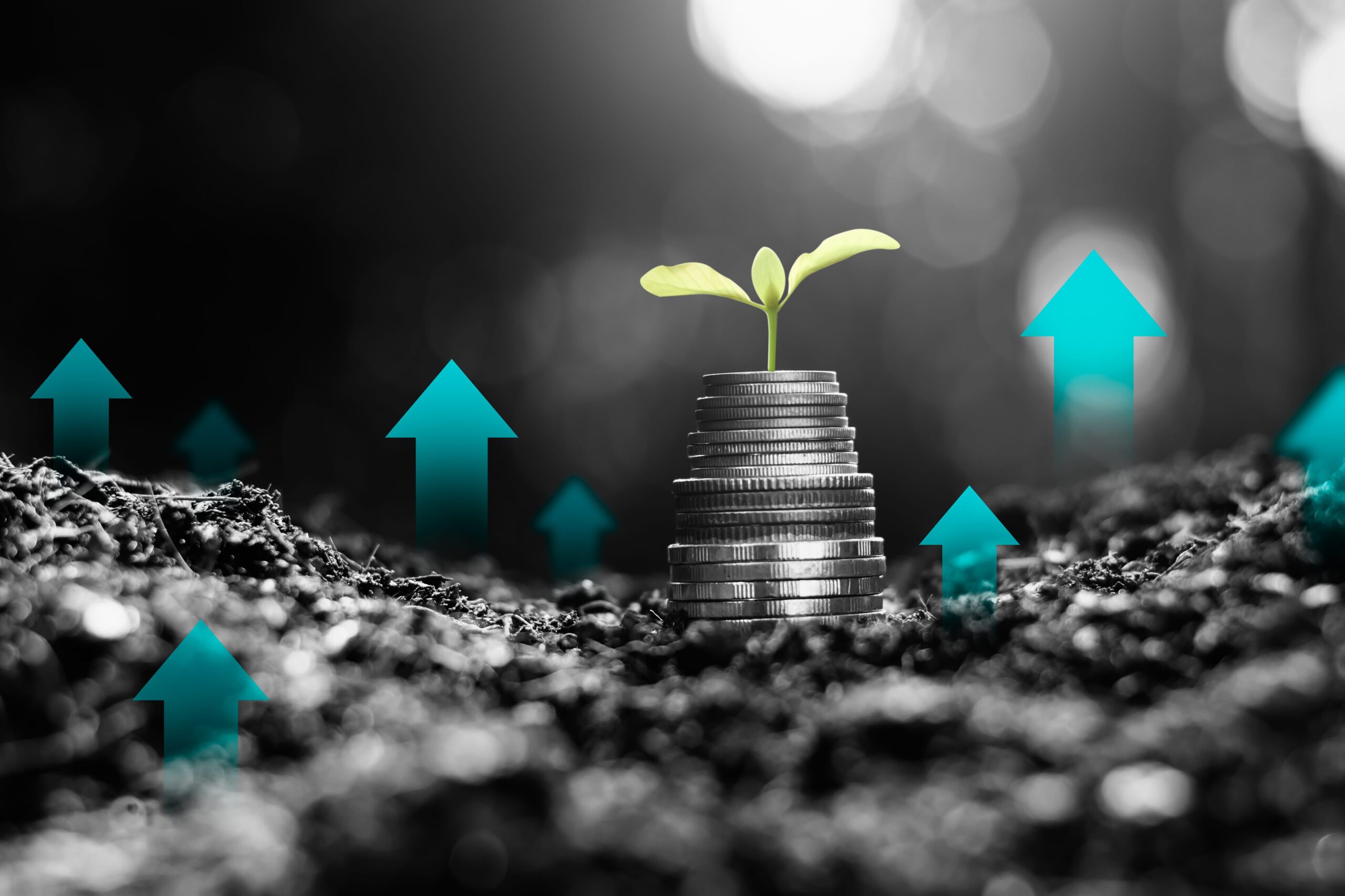 Investment Illustration
